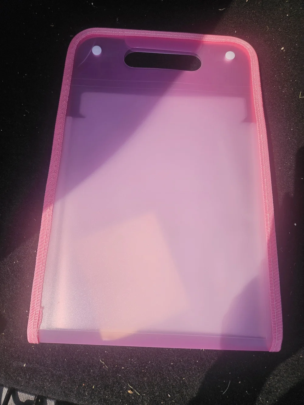 Pink Accordian File Case - Unbranded